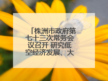 株洲市政府第七十三次常务会议召开 研究低空经济发展、大抓落实等工作