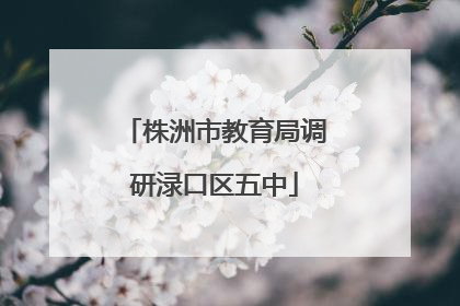 株洲市教育局调研渌口区五中