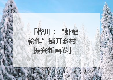桦川：“虾稻轮作”铺开乡村振兴新画卷