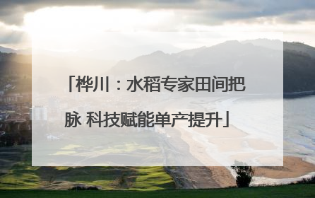 桦川：水稻专家田间把脉 科技赋能单产提升