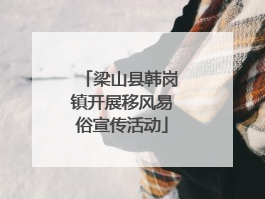 梁山县韩岗镇开展移风易俗宣传活动