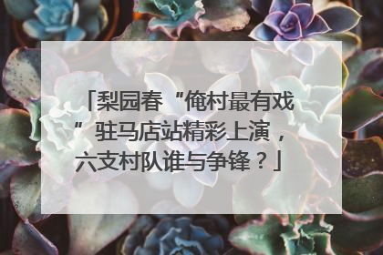 梨园春“俺村最有戏”驻马店站精彩上演，六支村队谁与争锋？