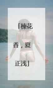楝花香，夏正浅