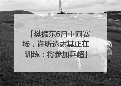 樊振东6月重回赛场，许昕透露其正在训练：将参加乒超