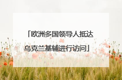 欧洲多国领导人抵达乌克兰基辅进行访问
