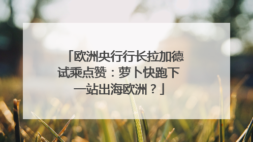 欧洲央行行长拉加德试乘点赞：萝卜快跑下一站出海欧洲？
