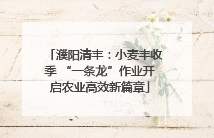 濮阳清丰：小麦丰收季 “一条龙”作业开启农业高效新篇章