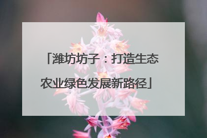 潍坊坊子：打造生态农业绿色发展新路径