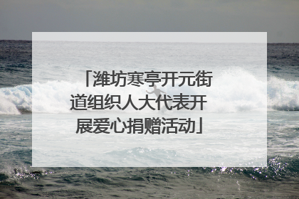 潍坊寒亭开元街道组织人大代表开展爱心捐赠活动