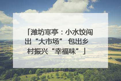 潍坊寒亭：小水饺闯出“大市场” 包出乡村振兴“幸福味”