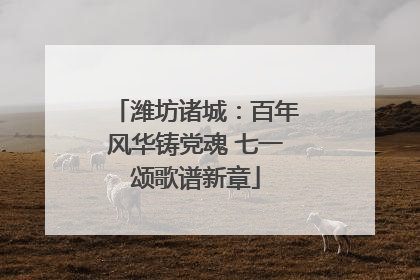 潍坊诸城：百年风华铸党魂 七一颂歌谱新章