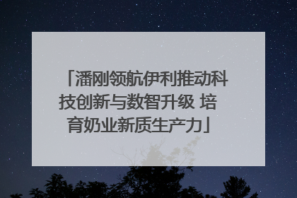 潘刚领航伊利推动科技创新与数智升级 培育奶业新质生产力