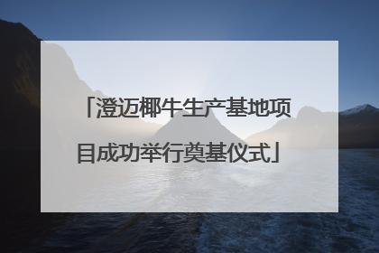 澄迈椰牛生产基地项目成功举行奠基仪式