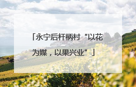 永宁后杆柄村“以花为媒，以果兴业”