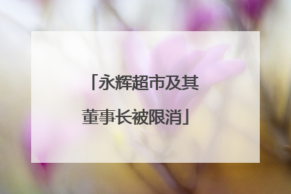 永辉超市及其董事长被限消