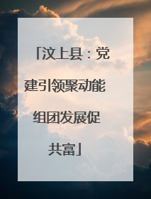 汶上县：党建引领聚动能 组团发展促共富