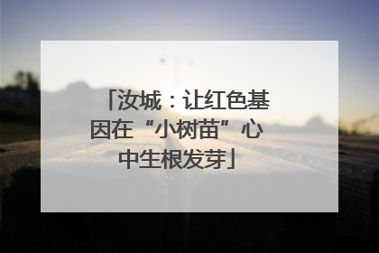 汝城：让红色基因在“小树苗”心中生根发芽