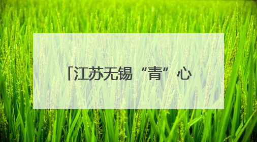 江苏无锡“青”心留才 多项暖心政策礼遇高校毕业生