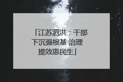 江苏泗洪：干部下沉强根基 治理提效惠民生