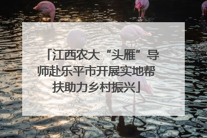 江西农大“头雁”导师赴乐平市开展实地帮扶助力乡村振兴