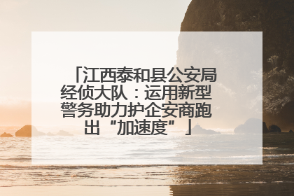江西泰和县公安局经侦大队：运用新型警务助力护企安商跑出“加速度”