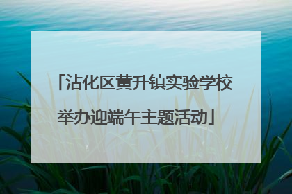 沾化区黄升镇实验学校举办迎端午主题活动