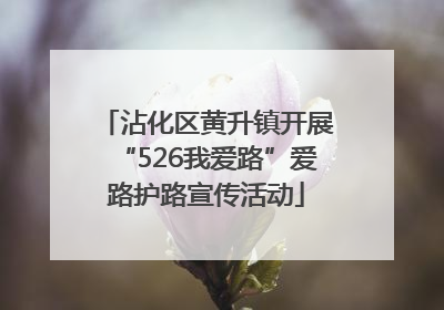 沾化区黄升镇开展“526我爱路”爱路护路宣传活动