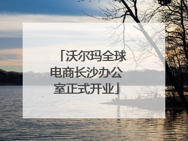 沃尔玛全球电商长沙办公室正式开业