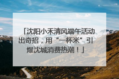 沈阳小禾清风端午活动出奇招，用“一杯米”引爆沈城消费热潮！