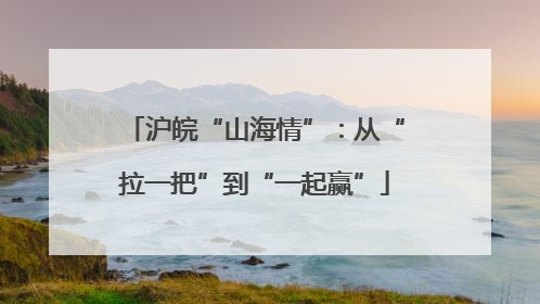 沪皖“山海情”：从“拉一把”到“一起赢”