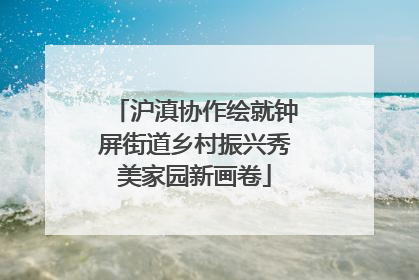 沪滇协作绘就钟屏街道乡村振兴秀美家园新画卷