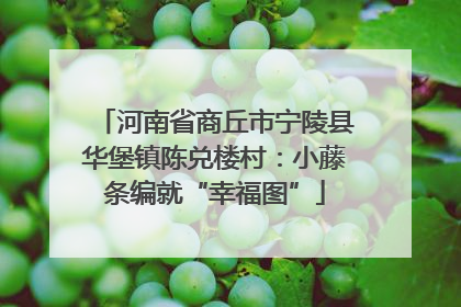 河南省商丘市宁陵县华堡镇陈兑楼村：小藤条编就“幸福图”