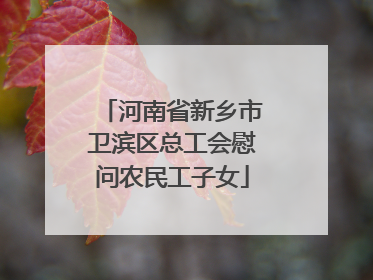 河南省新乡市卫滨区总工会慰问农民工子女