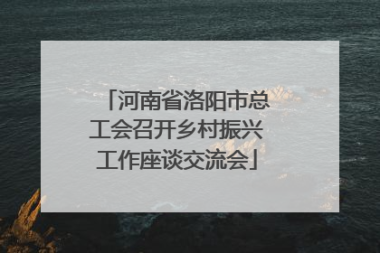 河南省洛阳市总工会召开乡村振兴工作座谈交流会