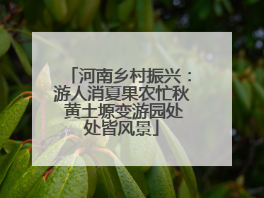 河南乡村振兴：游人消夏果农忙秋 黄土塬变游园处处皆风景
