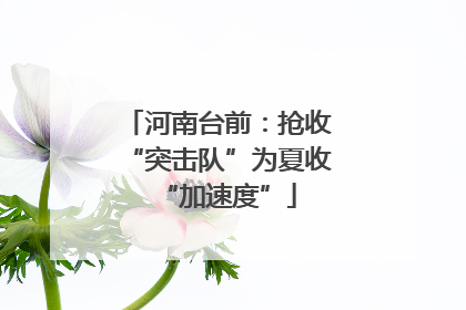 河南台前：抢收“突击队”为夏收“加速度”