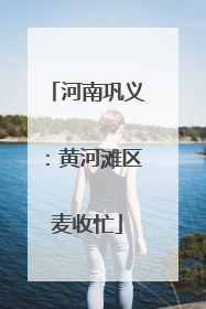 河南巩义：黄河滩区麦收忙