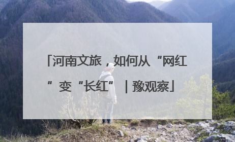 河南文旅，如何从“网红”变“长红”｜豫观察