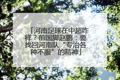 河南足球在中超咋样？前国脚赵鹏：要找回河南队“专治各种不服”的精神