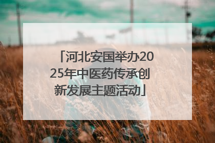 河北安国举办2025年中医药传承创新发展主题活动