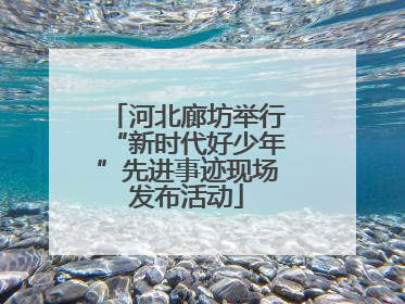 河北廊坊举行“新时代好少年”先进事迹现场发布活动