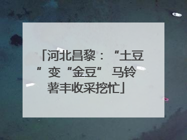 河北昌黎：“土豆”变“金豆” 马铃薯丰收采挖忙