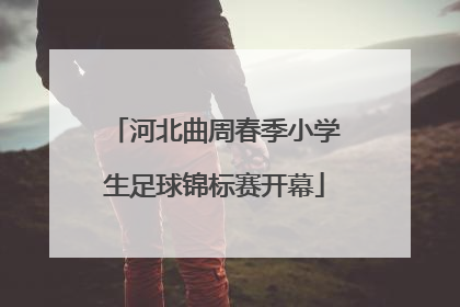 河北曲周春季小学生足球锦标赛开幕