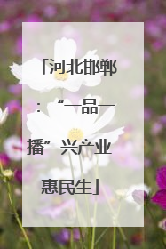 河北邯郸：“一品一播”兴产业惠民生