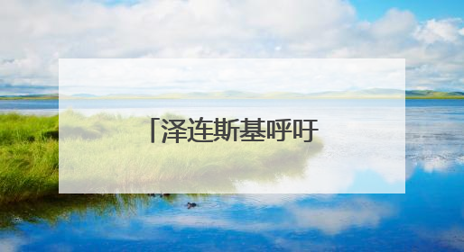 泽连斯基呼吁与特朗普、普京举行三方会谈，美俄暂未回应