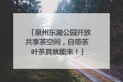 泉州东湖公园开放共享茶空间，自带茶叶茶具就能来！