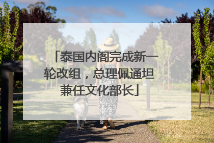 泰国内阁完成新一轮改组，总理佩通坦兼任文化部长