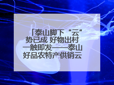泰山脚下“云”势已成 好物出村一触即发——泰山好品农特产供销云仓即将启用