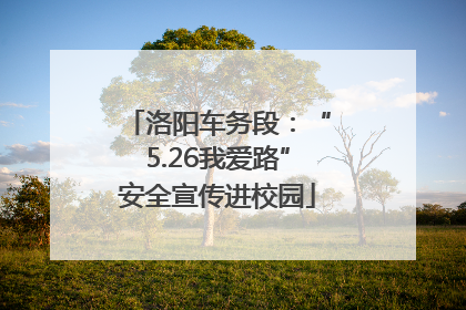 洛阳车务段：“5.26我爱路”安全宣传进校园