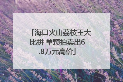 海口火山荔枝王大比拼 单颗拍卖出6.8万元高价